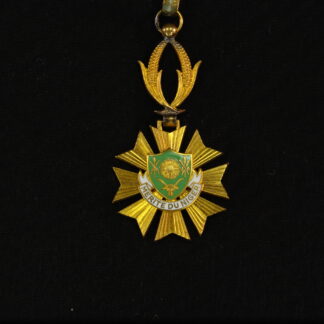 Orden, Merit du Niger, Mitte 20. Jh., Komtur, wohl Silber vergoldet?, etwas oxidiert, mit Bandschlaufe, selten. D: 4 cm, L: 10 cm, www.beyreuther.de