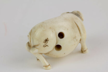 Netsuke, Japan, Meiji-Zeit, Bein, Schwein, Augen schwarz abgesetzt, signiert, Gebrauchsspuren, L: 5 cm.